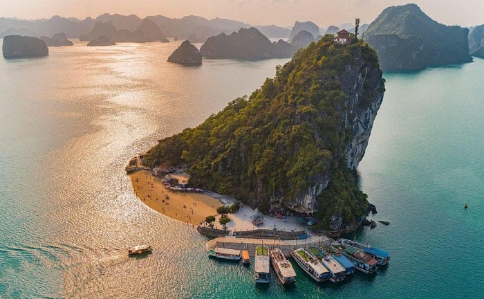 Kinh nghiệm đi tour Vịnh Hạ Long cho gia đình có người già và trẻ nhỏ: Lịch trình thong thả, tàu an toàn, an tâm tuyệt đối